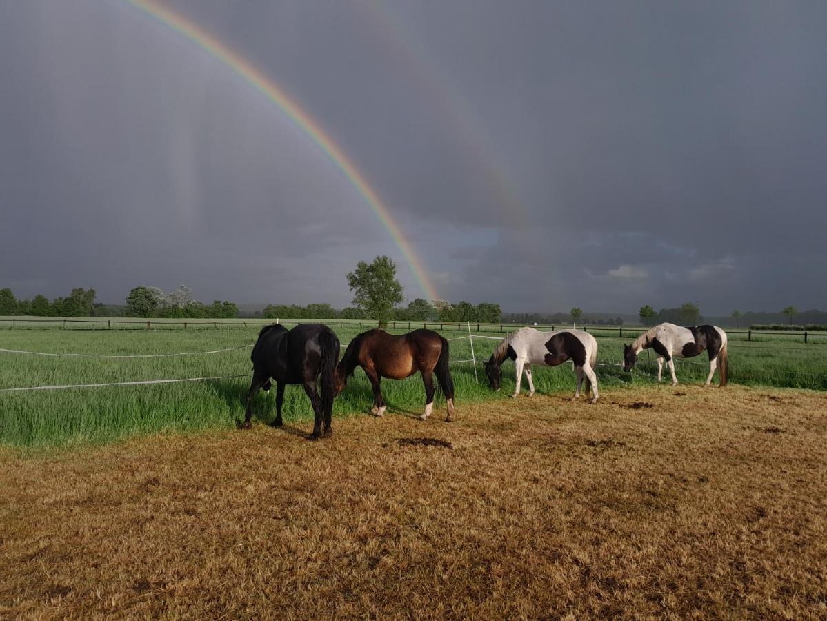 Ferienhof Wikner Bruchhausen-Vilsen Exteriör bild